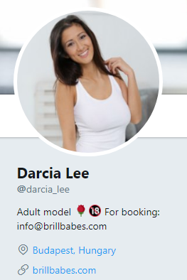 FireShot Capture 19 - Darcia Lee (@darcia_lee) I Twitter - https___twitter.com_darcia_lee_lang=es.png