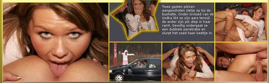 likkenaansterren.jpg