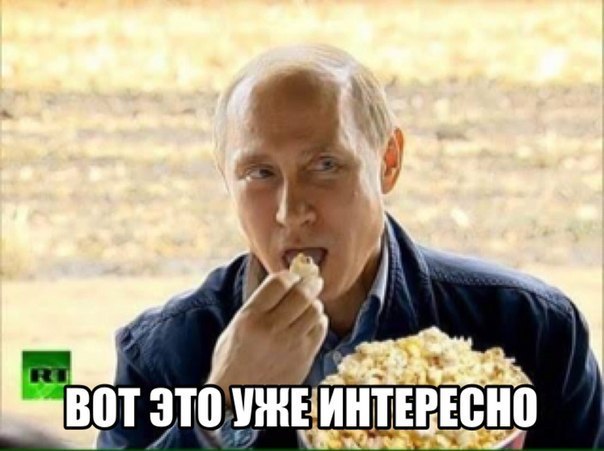 P8ZMISDKUAs.jpeg