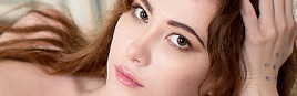 gisha-forza-banner.jpg