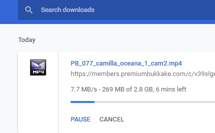 downloads.jpg