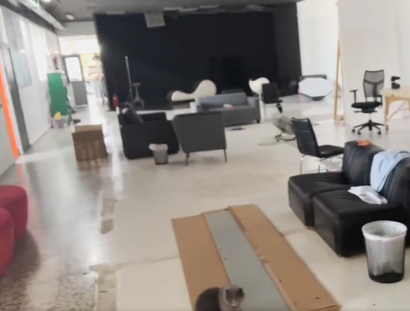 PL studio (2).jpg