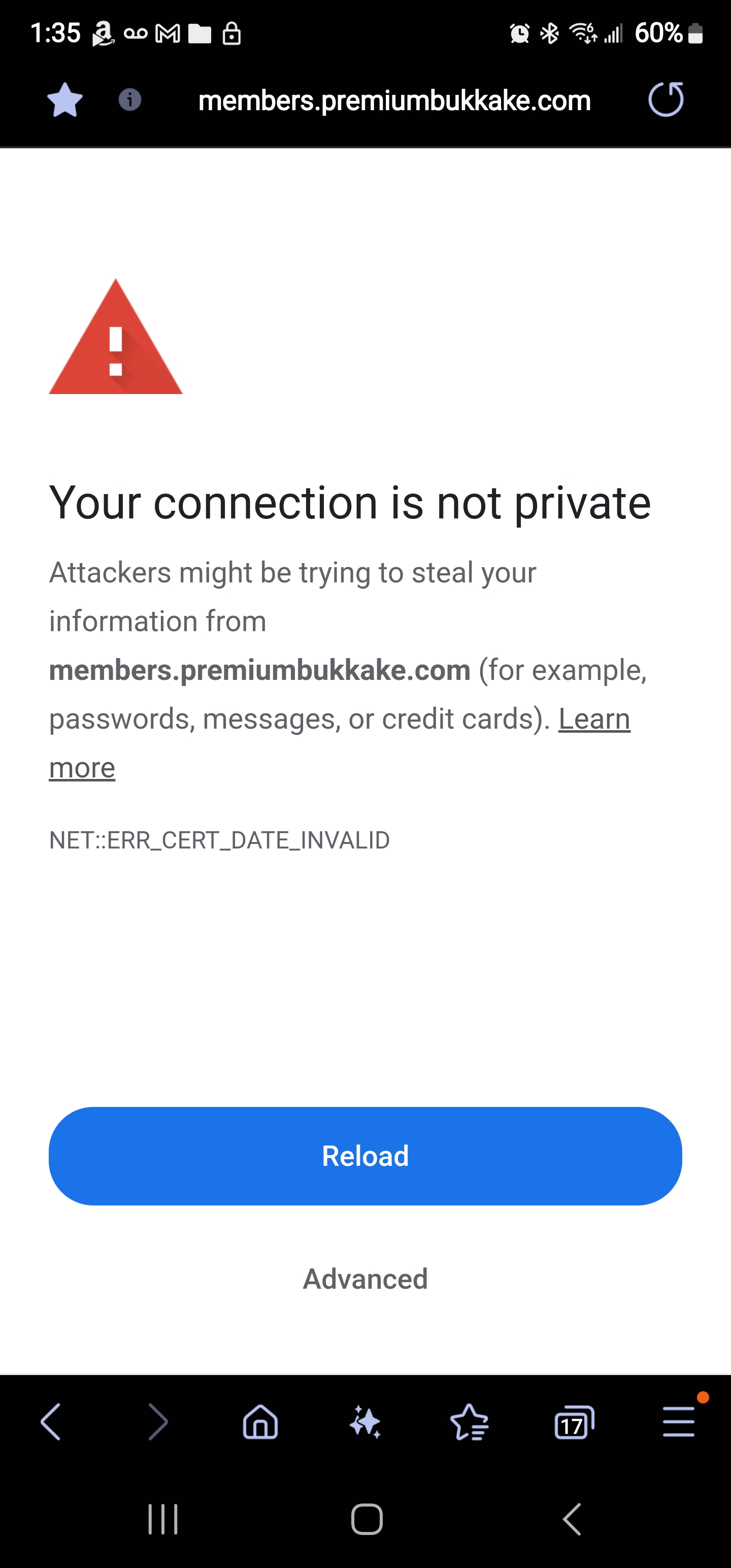 Screenshot_20250418_133533_Samsung Internet.jpg