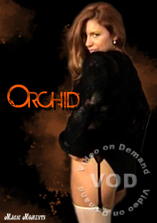 Orchid.cover.jpg