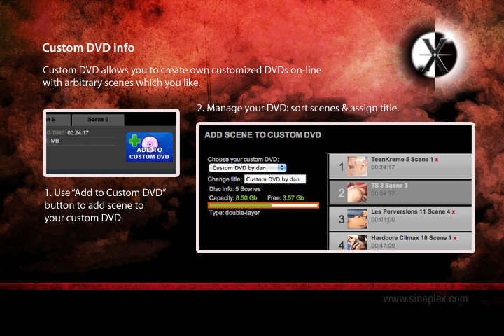 custom_dvd_info.jpg