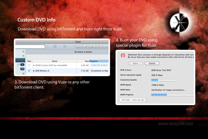 custom_dvd_info2.jpg
