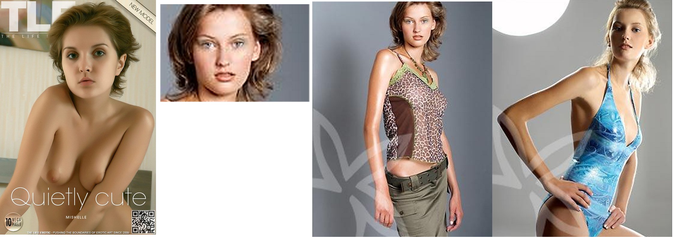 ladova comparison.jpg
